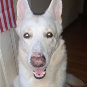 Meet your Posher, Jordyn